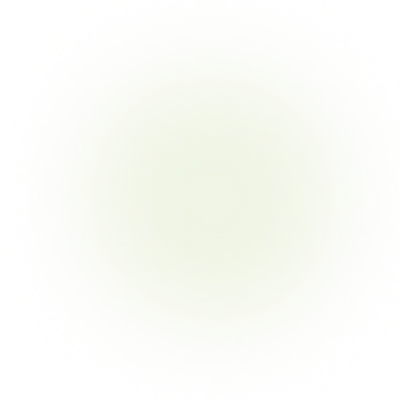Ellipse 29